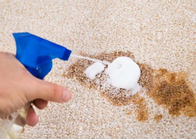 Person Cleaning Carpet