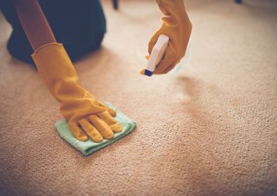 top Carpet Cleaner